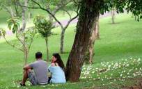 Una pareja en un parque. / EFE
