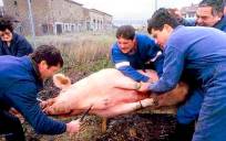 Matanza de un cerdo. / EFE