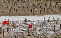 Vista general de un cementerio para las víctimas del terremoto en Hatay, Turquía, el pasado 3 de marzo. EFE/EPA/SEDAT SUNA