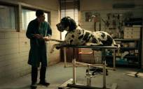 Marcello Fonte interpreta en ‘Dogman’ al dueño de una peluquería canina.