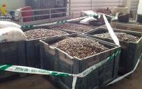 Inmovilizados 21.000 kilos de aceituna en la provincia