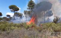 Declarado un incendio forestal en Moguer