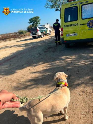 La unidad canina de Bomberos se une a la búsqueda de un vecino desaparecido en Chiclana