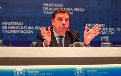 El ministro de Agricultura, Pesca y Alimentación en funciones, Luis Planas. / EFE