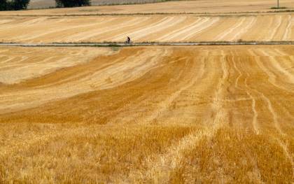 Un ciclista pasea entre campos de cereal recién cosechados este viernes. EFE/David Aguilar