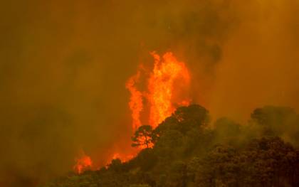 Imagen del incendio forestal de Sierra Bermeja. / Álex Zea - E.P.