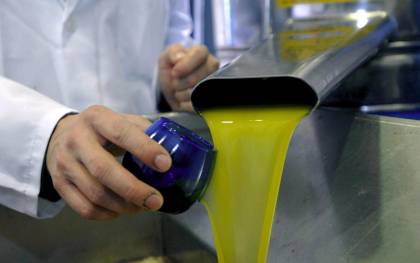 Un nuevo aceite de oliva creado por el CSIC resulta útil para prevenir la Diabetes Mellitus de tipo 2