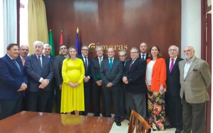 El Consejero de Economía se reúne con el Pleno del Consejo Andaluz de Cámaras de Comercio de Andalucía