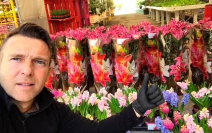 Las flores de un vivero sevillano dan color al hospital Macarena