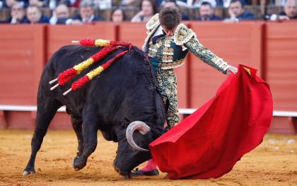 El toro ‘Orgullito’ se entrega en la muleta del diestro madrileño. / Arjona - Toromedia