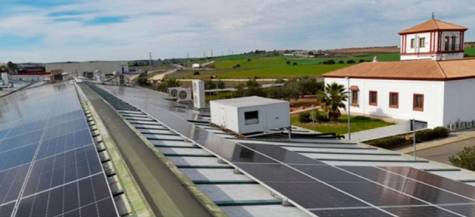 Inés Rosales estrena una instalación fotovoltaica de 1336 paneles