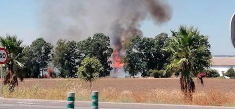 Sofocado un incendio en un paraje natural de Alcalá del Río