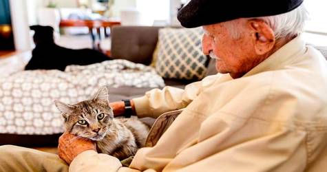 El efecto positivo de las mascotas en las personas más mayores