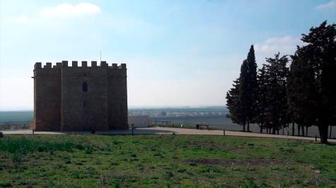 El Castillo de Doña Blanca: los fenicios y el vino