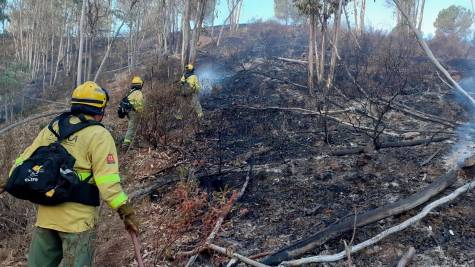 Infierno de Villarrasa: 870 hectáreas arrasadas en el primer gran incendio de 2021
