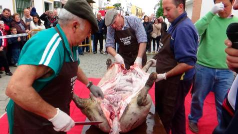 El Ronquillo muestra la matanza tradicional del cerdo ibérico