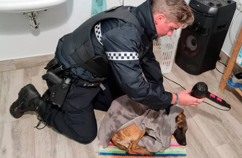 Dos policías salvan a un perro en una piscina helada en Sanlúcar la Mayor