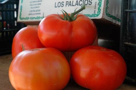 El tomate de Los Palacios se salta a piola la pandemia
