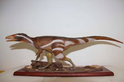 Descubren un nuevo dinosaurio: el Aratasaurus, con 3 metros de altura y 35 kilos