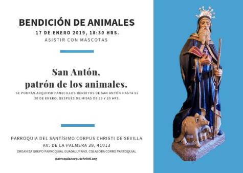 Bendición de mascotas por San Antón en el Corpus Christi