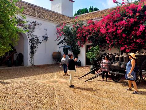 Hacienda Guzmán, un viaje a la Sevilla del siglo XVI y su historia olivarera