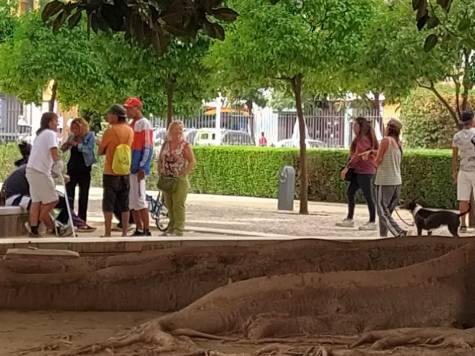 De colada en un parque de Sevilla