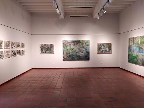Exposición de David Panea en el museo Pérez Comendador-Leroux