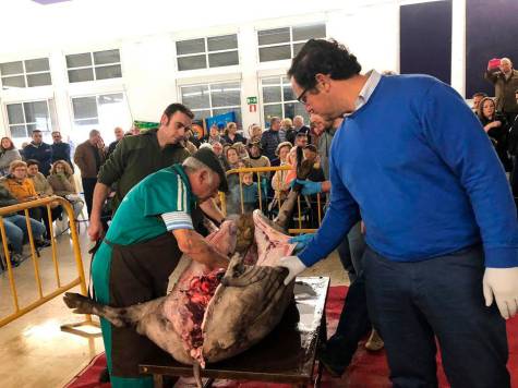 El Ronquillo muestra la matanza tradicional del cerdo ibérico