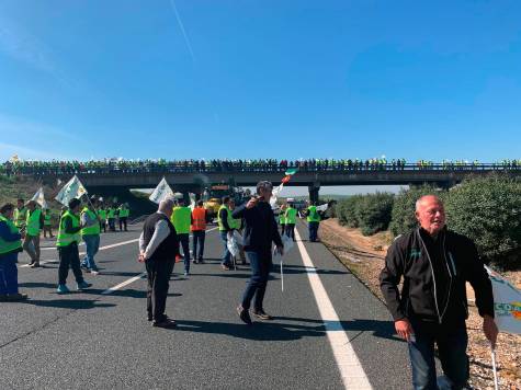 El campo corta cuatro autovías de acceso a Sevilla en defensa de su futuro