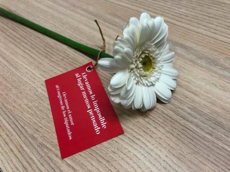 ‘Asaltan’ con flores a los diputados en el Congreso para «cambiar crispación por amor»