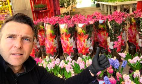 Las flores de un vivero sevillano dan color al hospital Macarena