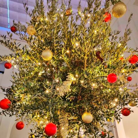 El olivo de El Viso del Alcor es el nuevo árbol de Navidad