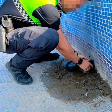 Salvado «in extremis» por la policía local en Alcalá de Guadaíra