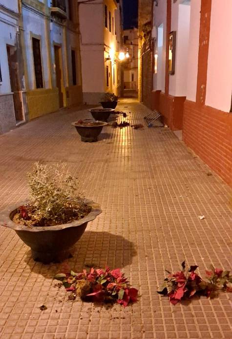 El Ayuntamiento de La Algaba instalará cámaras contra el vandalismo