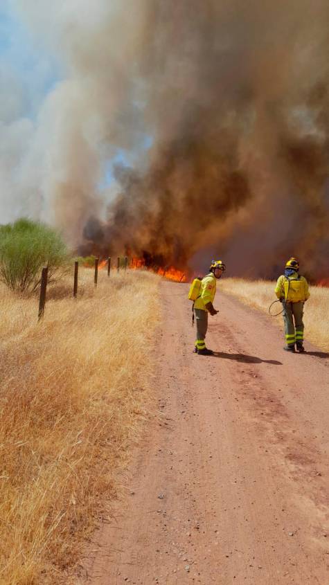 Declarado un incendio forestal en Cantillana