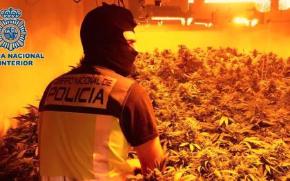 Marihuana intervenida en un cortijo ubicado en el paraje La Juaida de Almería.