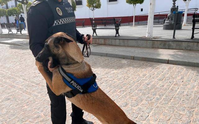 Kira, nuevo agente de la Policía Local de Olivares