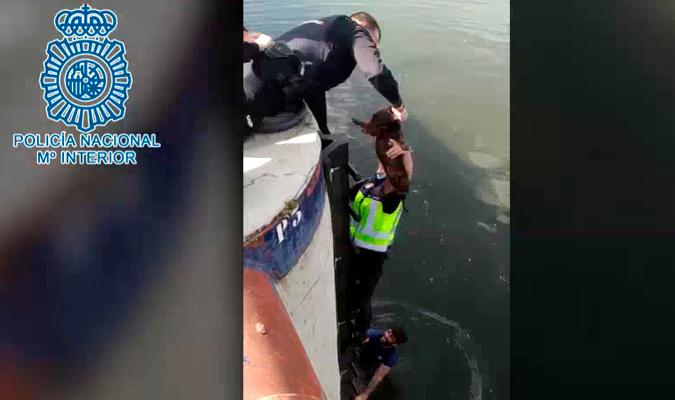 Un ciudadano y una policía salvan a un perro tras caer por el puente de Los Remedios