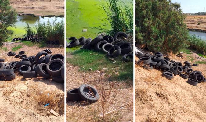 Más de doscientos neumáticos vertidos al río Guadaíra