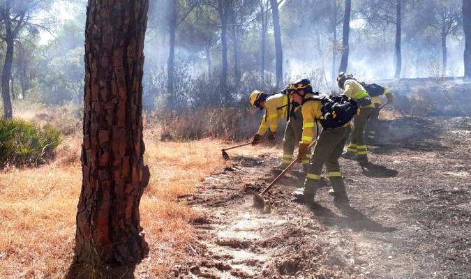 Bomberos del Plan Infoca actuando en la zona en el incendio de Almonte. / Plan Infoca