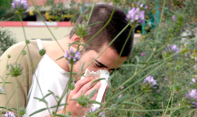 Los alérgicos al polén tendrán una primavera intensa en Andalucía