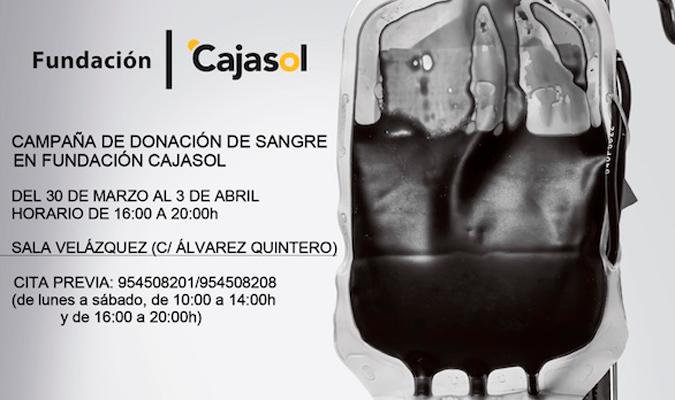 Los datos de la campaña de donación de sangre de la Fundación Cajasol. / El Correo