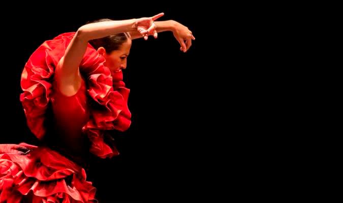 El flamenco y sus discusiones