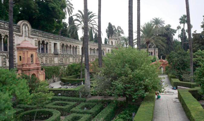 Indemnizan con 55.288 euros a la familia del fallecido al caer una rama en el Alcázar