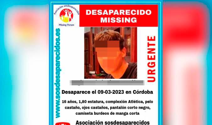 Imagen del cartel de la desaparición. 