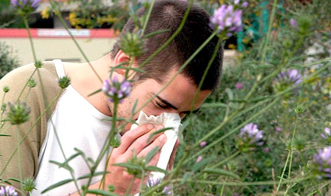 Los síntomas de la alergia se anticipan este año. / El Correo