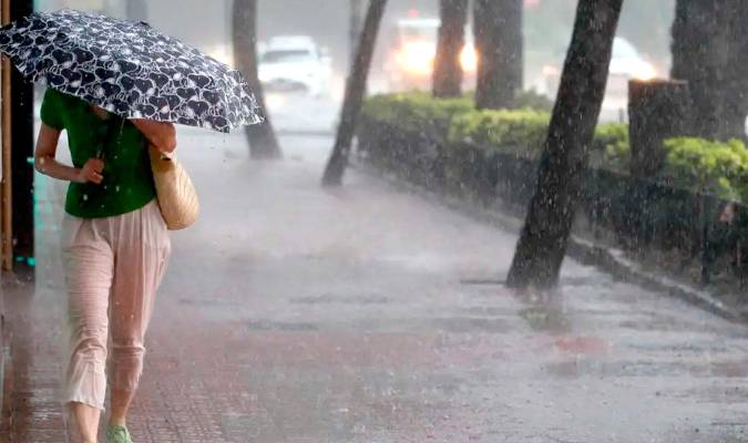 Una mujer con un paraguas durante el temporal. / EFE