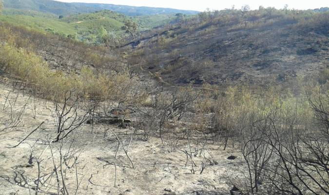 Berrocal, el pueblo que se muere 15 años después del mayor incendio que ha sufrido Andalucía