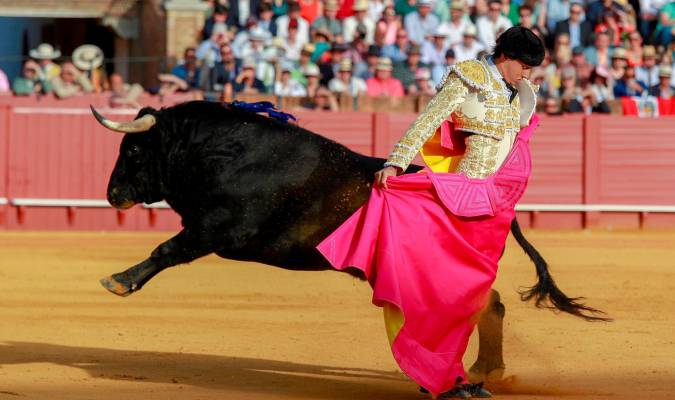 El torero peruano Roca Rey en la Real Maestranza de Sevilla / EFE - Julio Muñoz
