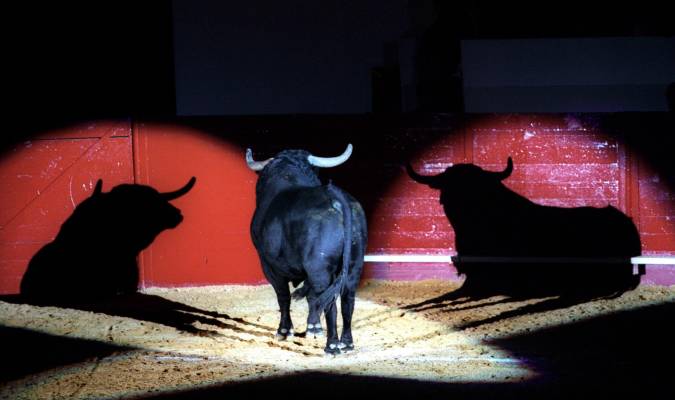 Feria Mundial del Toro: diez años después